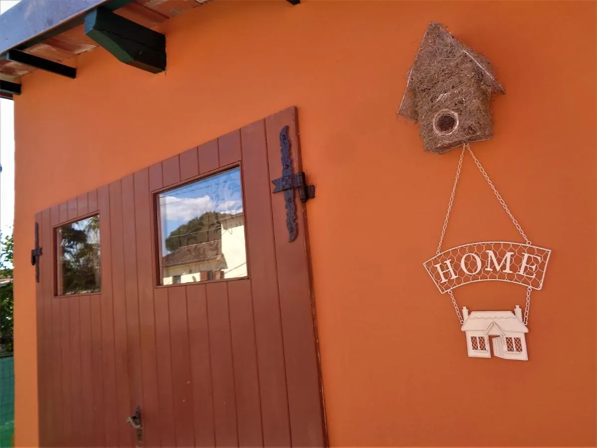 B&B Bed Breakfast Il Coltivatore Del Re 비아레지오