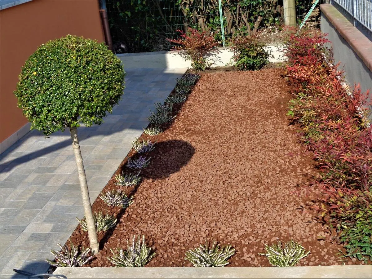 Bed & Breakfast Bed Breakfast Il Coltivatore Del Re Viareggio Italy