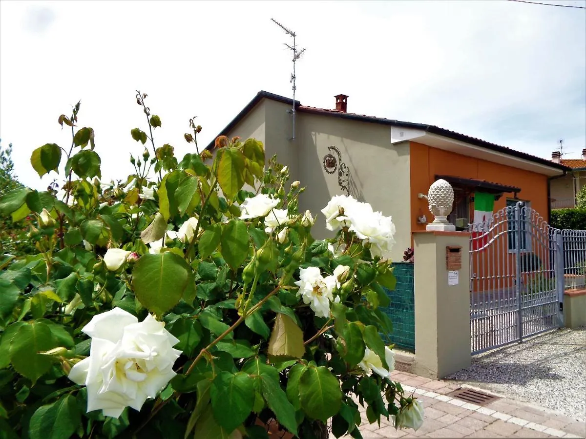 Bed Breakfast Il Coltivatore Del Re Viareggio Italy